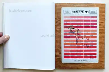 Sample page 16 for book "Pichler, Klaus – Klaus Pichler - The Petunia Carnage" Sample page 16 for book "Pichler, Klaus – Klaus Pichler - The Petunia Carnage"