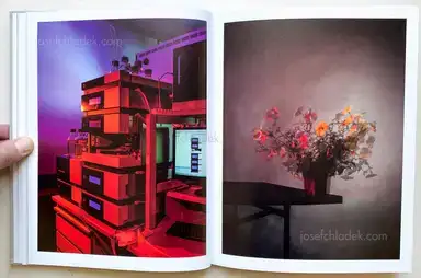 Sample page 13 for book "Pichler, Klaus – Klaus Pichler - The Petunia Carnage" Sample page 13 for book "Pichler, Klaus – Klaus Pichler - The Petunia Carnage"