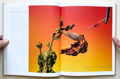 Sample page 7 for book  Klaus Pichler – The Petunia Carnage