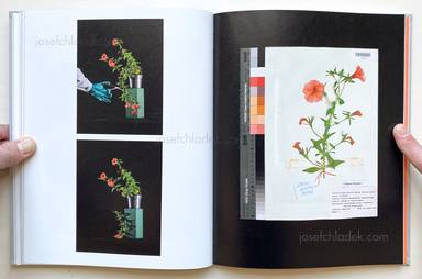 Sample page 8 for book  Klaus Pichler – The Petunia Carnage