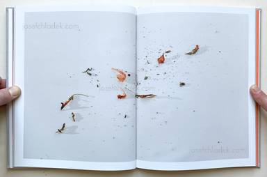 Sample page 9 for book  Klaus Pichler – The Petunia Carnage