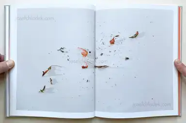 Sample page 10 for book "Pichler, Klaus – Klaus Pichler - The Petunia Carnage" Sample page 10 for book "Pichler, Klaus – Klaus Pichler - The Petunia Carnage"