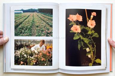 Sample page 11 for book  Klaus Pichler – The Petunia Carnage