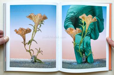 Sample page 12 for book  Klaus Pichler – The Petunia Carnage