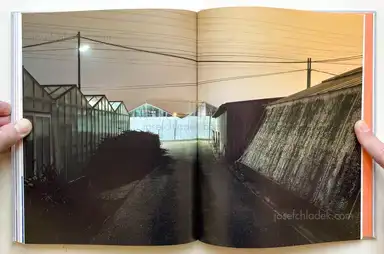 Sample page 5 for book "Pichler, Klaus – Klaus Pichler - The Petunia Carnage" Sample page 5 for book "Pichler, Klaus – Klaus Pichler - The Petunia Carnage"