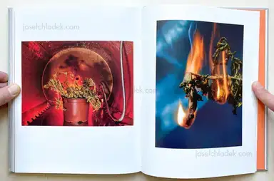 Sample page 4 for book "Pichler, Klaus – Klaus Pichler - The Petunia Carnage" Sample page 4 for book "Pichler, Klaus – Klaus Pichler - The Petunia Carnage"