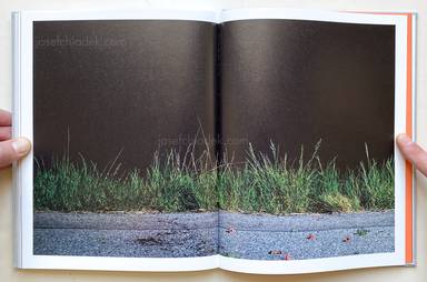 Sample page 16 for book  Klaus Pichler – The Petunia Carnage