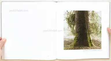 Sample page 7 for book "Fuchs, Bernhard – Bernhard Fuchs - Mühl" Sample page 7 for book "Fuchs, Bernhard – Bernhard Fuchs - Mühl"