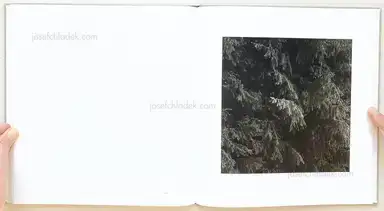 Sample page 2 for book "Fuchs, Bernhard – Bernhard Fuchs - Mühl" Sample page 2 for book "Fuchs, Bernhard – Bernhard Fuchs - Mühl"