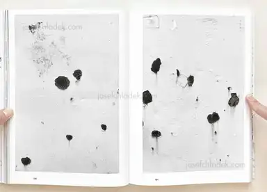 Sample page 13 for book "Meier, Eric – Eric Meier - FF" Sample page 13 for book "Meier, Eric – Eric Meier - FF"