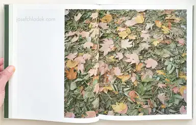 Sample page 14 for book "Gehrke, Andreas – Andreas Gehrke - Brandenburg" Sample page 14 for book "Gehrke, Andreas – Andreas Gehrke - Brandenburg"