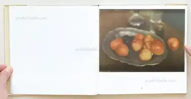 Sample page 31 for book "Kühn, Heinrich – Heinrich Kühn - Photographien (1866-1944)" Sample page 31 for book "Kühn, Heinrich – Heinrich Kühn - Photographien (1866-1944)"