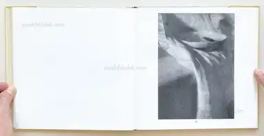 Sample page 26 for book "Kühn, Heinrich – Heinrich Kühn - Photographien (1866-1944)" Sample page 26 for book "Kühn, Heinrich – Heinrich Kühn - Photographien (1866-1944)"