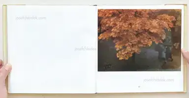 Sample page 15 for book "Kühn, Heinrich – Heinrich Kühn - Photographien (1866-1944)" Sample page 15 for book "Kühn, Heinrich – Heinrich Kühn - Photographien (1866-1944)"