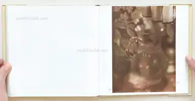 Sample page 5 for book "Kühn, Heinrich – Heinrich Kühn - Photographien (1866-1944)" Sample page 5 for book "Kühn, Heinrich – Heinrich Kühn - Photographien (1866-1944)"