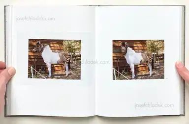 Sample page 7 for book "Maierhofer, Sara-Lena – Sara-Lena Maierhofer - Dear Clark" Sample page 7 for book "Maierhofer, Sara-Lena – Sara-Lena Maierhofer - Dear Clark"