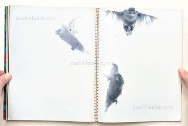 Sample page 21 for book  Nobuyoshi Araki – Jeanne - ジャンヌ 荒木　経惟