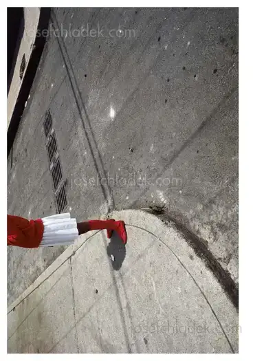 Sample page 1 for book "Rio Branco, Miguel – Miguel Rio Branco - Oeuvres photographiques / Photographic Works 1968-1992" Sample page 1 for book "Rio Branco, Miguel – Miguel Rio Branco - Oeuvres photographiques / Photographic Works 1968-1992"