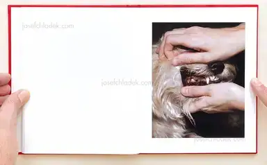 Sample page 12 for book "Bush, Shawn – Shawn Bush - Between Gods and Animals" Sample page 12 for book "Bush, Shawn – Shawn Bush - Between Gods and Animals"