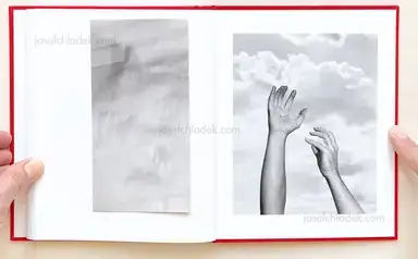 Sample page 1 for book "Bush, Shawn – Shawn Bush - Between Gods and Animals" Sample page 1 for book "Bush, Shawn – Shawn Bush - Between Gods and Animals"