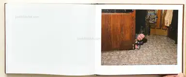 Sample page 2 for book "Pichler, Klaus – Klaus Pichler, Clemens Marschall - Golden days before they end" Sample page 2 for book "Pichler, Klaus – Klaus Pichler, Clemens Marschall - Golden days before they end"