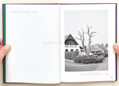 Sample page 12 for book "Zerrahn, Max – Max Zerrahn - Mit Delfinen schwimmen, Swim with Dolphins" Sample page 12 for book "Zerrahn, Max – Max Zerrahn - Mit Delfinen schwimmen, Swim with Dolphins"