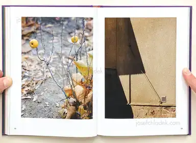 Sample page 8 for book "Zerrahn, Max – Max Zerrahn - Mit Delfinen schwimmen, Swim with Dolphins" Sample page 8 for book "Zerrahn, Max – Max Zerrahn - Mit Delfinen schwimmen, Swim with Dolphins"