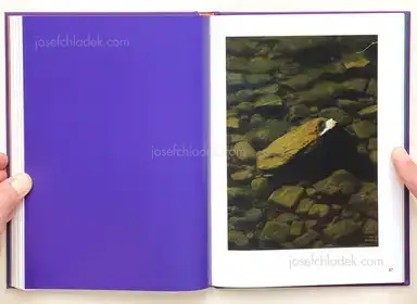 Sample page 6 for book "Zerrahn, Max – Max Zerrahn - Mit Delfinen schwimmen, Swim with Dolphins" Sample page 6 for book "Zerrahn, Max – Max Zerrahn - Mit Delfinen schwimmen, Swim with Dolphins"