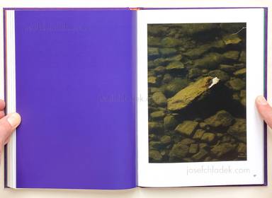 Sample page 11 for book Max Zerrahn – Mit Delfinen schwimmen, Swim with Dolphins