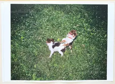 Sample page 16 for book "Riedler, Reiner – Reiner Riedler - This side of paradise - Poster Book" Sample page 16 for book "Riedler, Reiner – Reiner Riedler - This side of paradise - Poster Book"