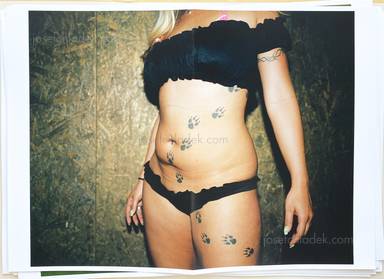 Sample page 7 for book "Riedler, Reiner – Reiner Riedler - This side of paradise - Poster Book" Sample page 7 for book "Riedler, Reiner – Reiner Riedler - This side of paradise - Poster Book"