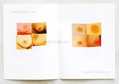 Sample page 11 for book "Fabricius, Jesper – Jesper Fabricius - Kunsthæfte 1-22" Sample page 11 for book "Fabricius, Jesper – Jesper Fabricius - Kunsthæfte 1-22"