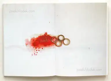 Sample page 10 for book "Sputnik Photos – Sputnik Photos - Photos NO.9 Sputnik Photos Mentoring Programme" Sample page 10 for book "Sputnik Photos – Sputnik Photos - Photos NO.9 Sputnik Photos Mentoring Programme"