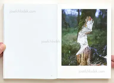 Sample page 3 for book "Sputnik Photos – Sputnik Photos - Photos NO.9 Sputnik Photos Mentoring Programme" Sample page 3 for book "Sputnik Photos – Sputnik Photos - Photos NO.9 Sputnik Photos Mentoring Programme"