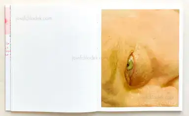 Sample page 12 for book "Geibl, Kata – Kata Geibl - There is Nothing New Under the Sun" Sample page 12 for book "Geibl, Kata – Kata Geibl - There is Nothing New Under the Sun"