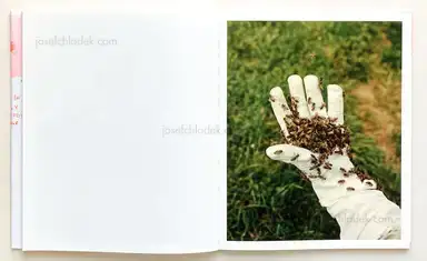 Sample page 7 for book "Geibl, Kata – Kata Geibl - There is Nothing New Under the Sun" Sample page 7 for book "Geibl, Kata – Kata Geibl - There is Nothing New Under the Sun"