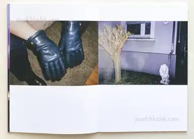 Sample page 8 for book "Scherf, Stefan – Stefan Scherf - Das goldene Vlies" Sample page 8 for book "Scherf, Stefan – Stefan Scherf - Das goldene Vlies"