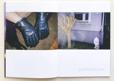 Sample page 12 for book Stefan Scherf &ndash; Das goldene Vlies