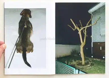 Sample page 5 for book "Scherf, Stefan – Stefan Scherf - Das goldene Vlies" Sample page 5 for book "Scherf, Stefan – Stefan Scherf - Das goldene Vlies"