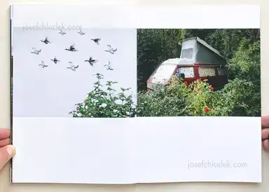 Sample page 1 for book "Scherf, Stefan – Stefan Scherf - Das goldene Vlies" Sample page 1 for book "Scherf, Stefan – Stefan Scherf - Das goldene Vlies"