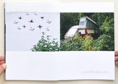 Sample page 19 for book Stefan Scherf &ndash; Das goldene Vlies