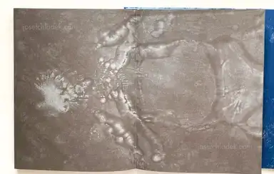 Sample page 7 for book "Riedler, Reiner – Reiner Riedler - Sweat" Sample page 7 for book "Riedler, Reiner – Reiner Riedler - Sweat"