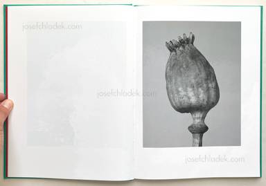 Sample page 15 for book "Zelenkova, Tereza – Tereza Zelenkova - The Essential Solitude" Sample page 15 for book "Zelenkova, Tereza – Tereza Zelenkova - The Essential Solitude"