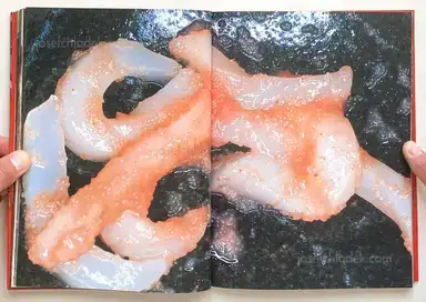 Sample page 17 for book "Araki, Nobuyoshi – Nobuyoshi Araki - The Banquet 荒木 経惟 - 食事" Sample page 17 for book "Araki, Nobuyoshi – Nobuyoshi Araki - The Banquet 荒木 経惟 - 食事"