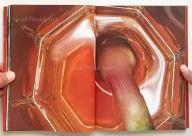 Sample page 16 for book "Araki, Nobuyoshi – Nobuyoshi Araki - The Banquet 荒木 経惟 - 食事" Sample page 16 for book "Araki, Nobuyoshi – Nobuyoshi Araki - The Banquet 荒木 経惟 - 食事"