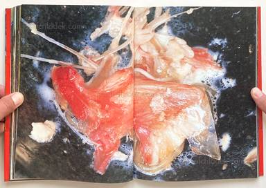 Sample page 14 for book "Araki, Nobuyoshi – Nobuyoshi Araki - The Banquet 荒木 経惟 - 食事" Sample page 14 for book "Araki, Nobuyoshi – Nobuyoshi Araki - The Banquet 荒木 経惟 - 食事"