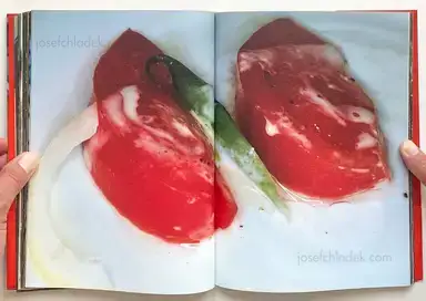 Sample page 12 for book "Araki, Nobuyoshi – Nobuyoshi Araki - The Banquet 荒木 経惟 - 食事" Sample page 12 for book "Araki, Nobuyoshi – Nobuyoshi Araki - The Banquet 荒木 経惟 - 食事"