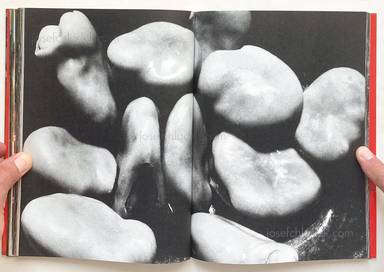 Sample page 11 for book "Araki, Nobuyoshi – Nobuyoshi Araki - The Banquet 荒木 経惟 - 食事" Sample page 11 for book "Araki, Nobuyoshi – Nobuyoshi Araki - The Banquet 荒木 経惟 - 食事"