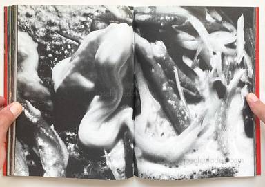 Sample page 10 for book "Araki, Nobuyoshi – Nobuyoshi Araki - The Banquet 荒木 経惟 - 食事" Sample page 10 for book "Araki, Nobuyoshi – Nobuyoshi Araki - The Banquet 荒木 経惟 - 食事"