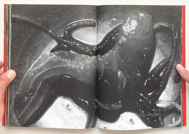 Sample page 6 for book "Araki, Nobuyoshi – Nobuyoshi Araki - The Banquet 荒木 経惟 - 食事" Sample page 6 for book "Araki, Nobuyoshi – Nobuyoshi Araki - The Banquet 荒木 経惟 - 食事"